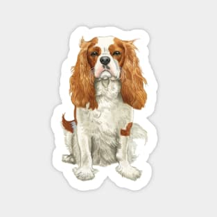 Cavalier King Charles Spaniel - Watercolour Blenheim Sticker